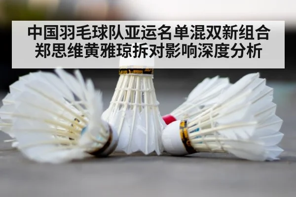 badminton shuttlecock court
