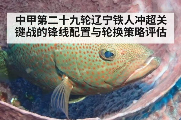 中甲第二十九轮辽宁铁人冲超关键战的锋线配置与轮换策略评估